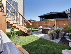 Backyard - 