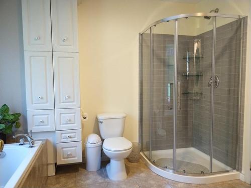 Ensuite bathroom - 132 Ch. Fournel, Sainte-Anne-Des-Lacs, QC - Indoor Photo Showing Bathroom