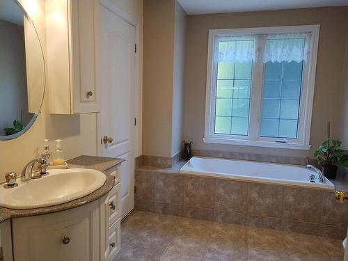 Ensuite bathroom - 132 Ch. Fournel, Sainte-Anne-Des-Lacs, QC - Indoor Photo Showing Bathroom