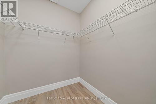 81 Markland Avenue, Prince Edward County, ON - Indoor With Storage