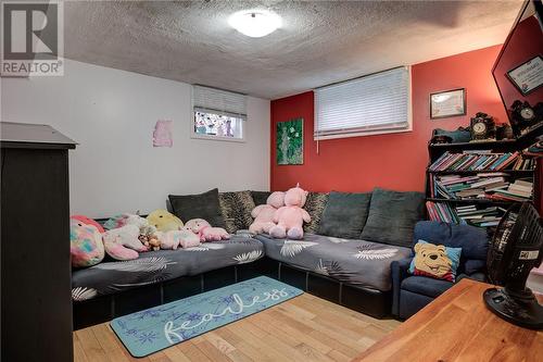 349 David Street, Sudbury, ON - Indoor Photo Showing Living Room