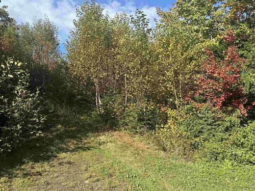 Lot 5 Tower Road, Mulgrave, NS 