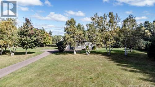 695 De La Petite Riviere, Aldouane, NB - Outdoor With View