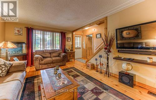 1249 Notre Dame Dr Drive, Wilmot, ON - Indoor Photo Showing Living Room