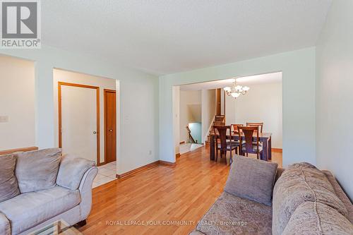 315 Newbury Drive, Kitchener, ON - Indoor Photo Showing Living Room