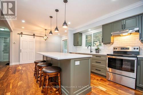 427 Southpark Drive, Peterborough (Ashburnham), ON - Indoor Photo Showing Kitchen With Upgraded Kitchen