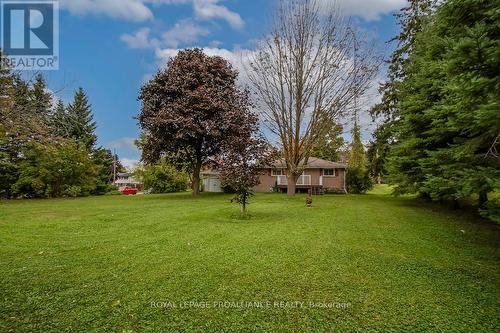 427 Southpark Drive, Peterborough (Ashburnham), ON - Outdoor