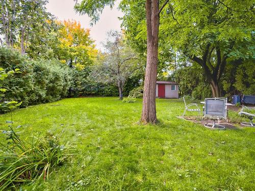 Backyard - 325 Rue Des Tulipes, La Prairie, QC - Outdoor