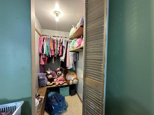 1033 Alberta Street, Thunder Bay, ON - Indoor With Storage