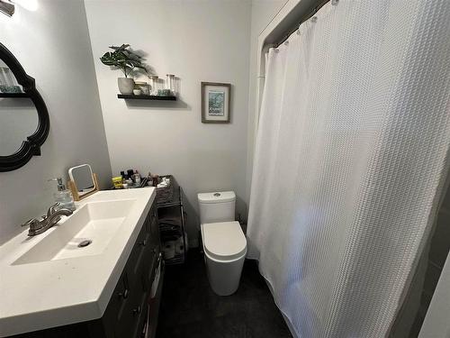 1033 Alberta Street, Thunder Bay, ON - Indoor Photo Showing Bathroom