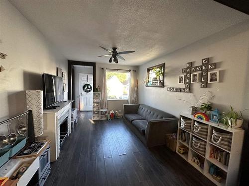 1033 Alberta Street, Thunder Bay, ON - Indoor Photo Showing Living Room With Fireplace