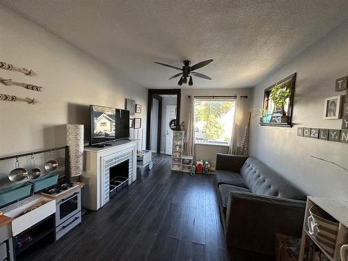 1033 Alberta Street, Thunder Bay, ON - Indoor Photo Showing Living Room With Fireplace