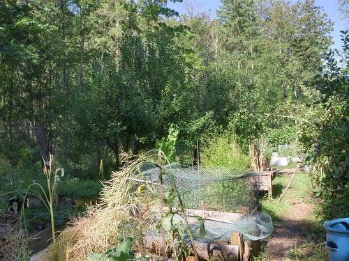 8706 Trans Canada Hwy, Chemainus, BC 