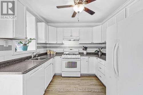 16 Alice Street, Hamilton, ON - Indoor Photo Showing Kitchen With Double Sink