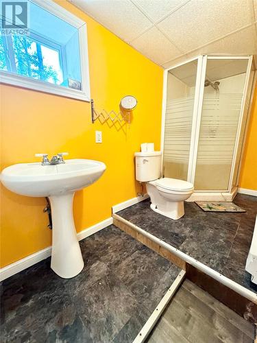 156B Birchy Point, Campbellton, NL - Indoor Photo Showing Bathroom