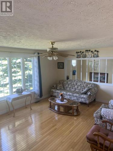 100 Main Street, Birchy Bay, NL - Indoor Photo Showing Living Room