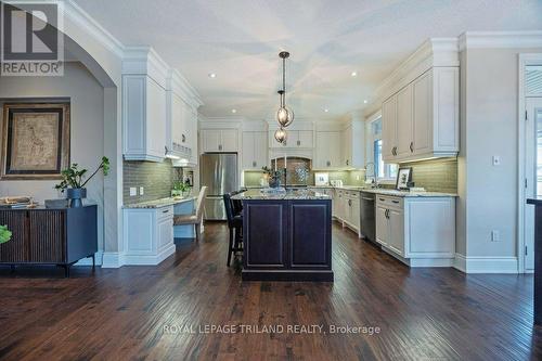 1520 Jim Allen Way, London, ON - Indoor Photo Showing Kitchen With Upgraded Kitchen