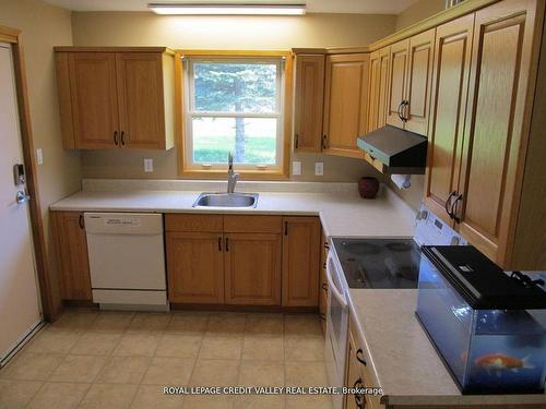 476345 3Rd. Line, Melancthon, ON - Indoor Photo Showing Kitchen