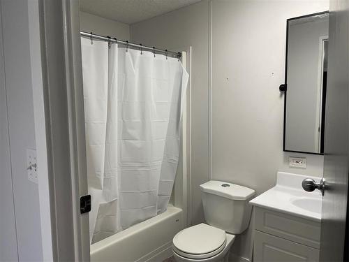 E 6 1545 Main Street E, Swan River, MB - Indoor Photo Showing Bathroom