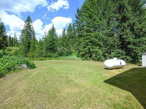 317 Archibald Road, Clearwater, BC - Outdoor