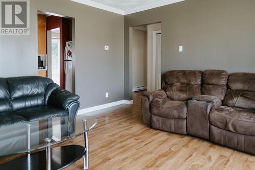 25 Bishop Street, Gander, NL - Indoor Photo Showing Living Room