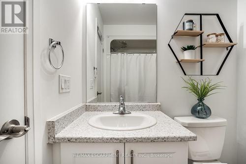 22 Aquarius Crescent, Hamilton, ON - Indoor Photo Showing Bathroom