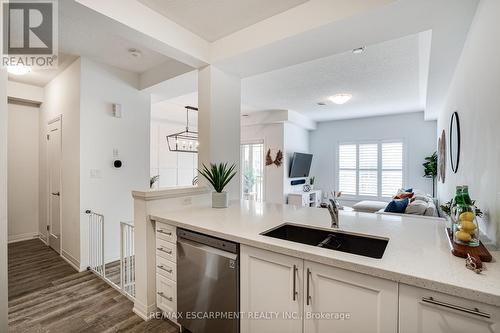 22 Aquarius Crescent, Hamilton, ON - Indoor Photo Showing Kitchen With Double Sink