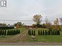 927 Mcnaughton Avenue, Chatham-Kent, ON 