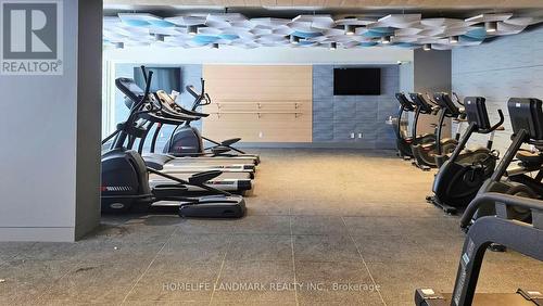 309 - 27 Mcmahon Drive, Toronto, ON - Indoor Photo Showing Gym Room