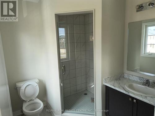 43 Mia Drive, Hamilton, ON - Indoor Photo Showing Bathroom