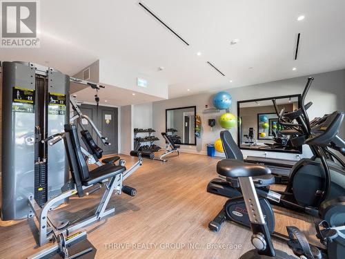 632 - 102 Grovewood Common, Oakville, ON - Indoor Photo Showing Gym Room