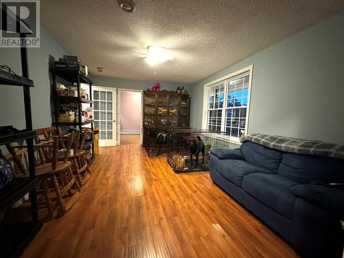 52 Old Road, Pouch Cove, NL - Indoor Photo Showing Other Room