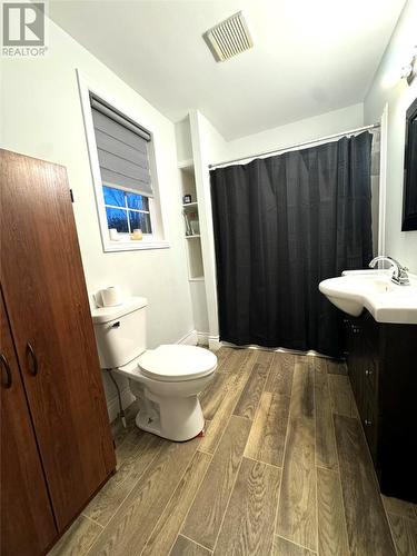 52 Old Road, Pouch Cove, NL - Indoor Photo Showing Bathroom