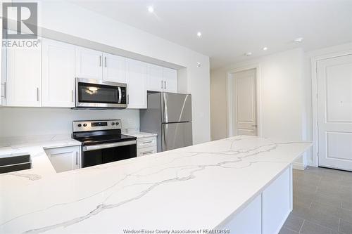 233 Watson Unit# 201, Windsor, ON - Indoor Photo Showing Kitchen With Double Sink