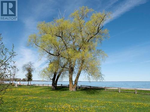 774 Jacksonville Road, Georgina, ON - Outdoor With Body Of Water With View