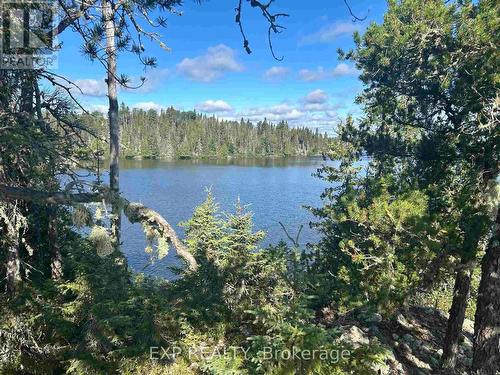 Island Sesekinika Lake, Timiskaming Remote Area, ON 