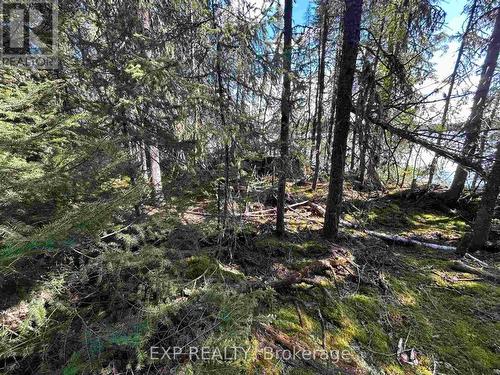 Island Sesekinika Lake, Timiskaming Remote Area, ON 