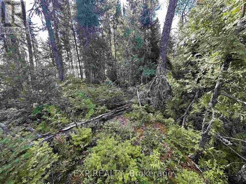 Island Sesekinika Lake, Timiskaming Remote Area, ON 