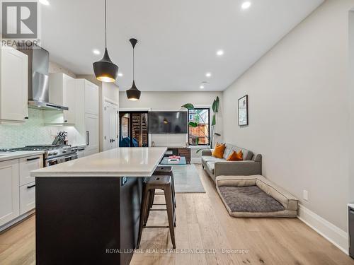 238 Garden Avenue, Toronto, ON - Indoor Photo Showing Kitchen With Upgraded Kitchen