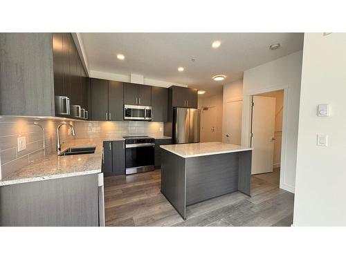 214 5504 Brydon Crescent, Langley, BC - Indoor Photo Showing Kitchen With Stainless Steel Kitchen With Upgraded Kitchen