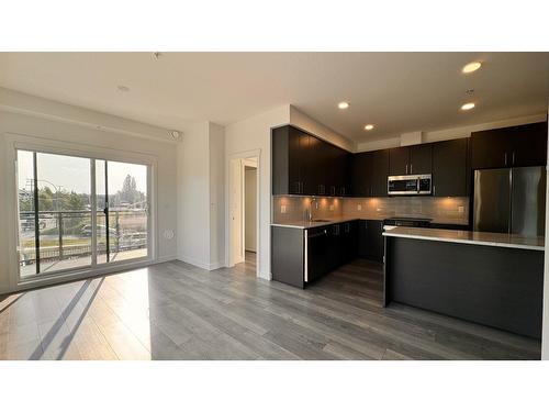 214 5504 Brydon Crescent, Langley, BC - Indoor Photo Showing Kitchen With Stainless Steel Kitchen With Upgraded Kitchen