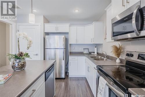 205 315 Dickson Crescent, Saskatoon, SK - Indoor Photo Showing Kitchen With Double Sink