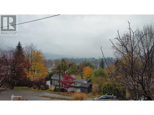 2545 Purdy Road, Robson, BC - Outdoor With View