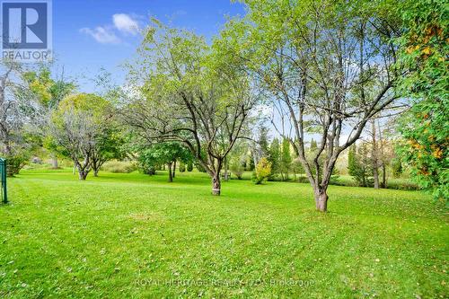 2489 County 40 Road, Quinte West, ON - Outdoor With View