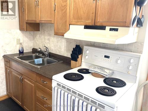 543 Crystal Drive, Peterborough (Ashburnham), ON - Indoor Photo Showing Kitchen With Double Sink