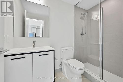 201 - 385 Winston Road, Grimsby, ON - Indoor Photo Showing Bathroom