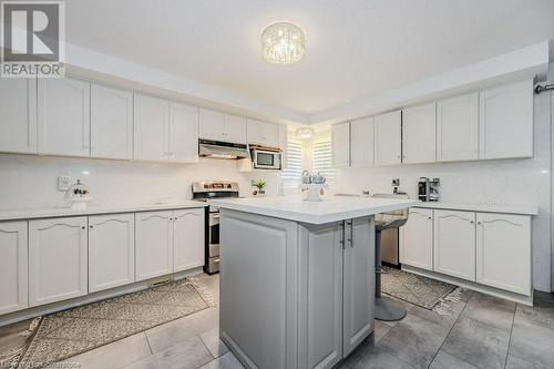 260 Chesley Street, Hamilton, ON - Indoor Photo Showing Kitchen