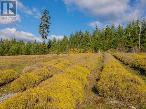 6268 Shelter Point Road, Texada Island, BC - Outdoor With View