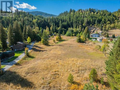 738 Meadowlark Lane, Castlegar, BC - Outdoor With View