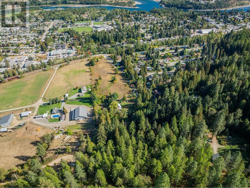 738 Meadowlark Lane, Castlegar, BC - Outdoor With View